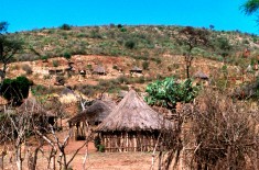 Pays Konso au Sud de l'Ethiopie. Février 1996.