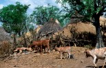 Pays Konso au Sud de l'Ethiopie. Février 1996.