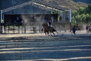 CHILI Bords du Lac Général Carrera Jineteada à CHILE CHICO (fête du cheval)